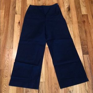 Navy Blue Zara Culottes